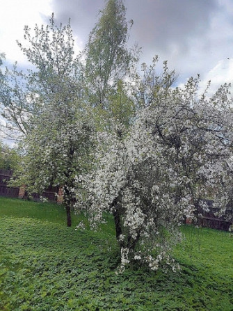 Piedāvājumā pilnībā izīrēts un peļņu nesošs namīpašums ar lielu zemes gabalu Rīga - foto 17