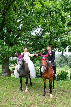 В Риге любое торжество, в подарок скидки юбилярам, свадьбам. Территория=2000 кв. м. с бассейном... Рига