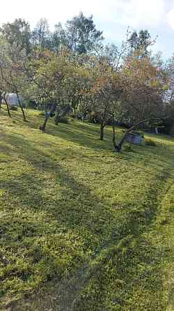 Piedāvāju Zāles/Krūmu Pļaušanas Pakalpojumus. Ar Trimmeri. Kā Arī Mauriņa Pļaušanu. Strādāju... Jelgava