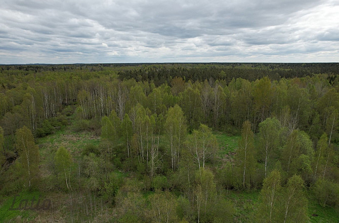 Pārdod 2500 m lielu zemesgabalu Ķekavā, Ķekavas novadā.
Īpašums atrodas klusā un zaļā Ķekavas pagasts - foto 5