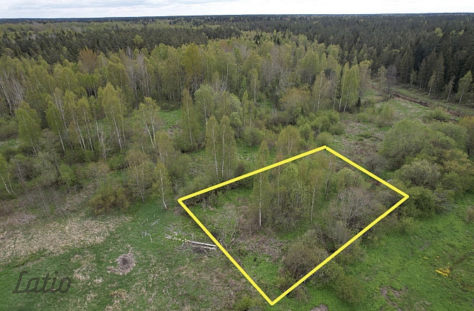 Pārdod 2400 m lielu zemesgabalu Ķekavā, Ķekavas novadā.
Īpašums atrodas klusā un zaļā Ķekavas pagasts - foto 4