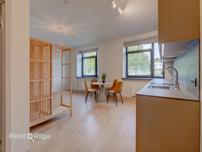 Mūsdienīgs un līdz detaļām pārdomāts studio tipa dzīvoklis Lielirbes ielā 9a  lokācijā, Rīga - foto 15