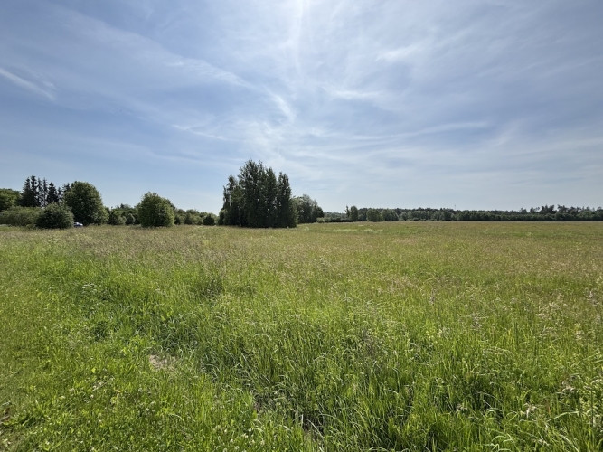 Pārdod 1,92 ha lielu zemes gabalu Ādažos.  Ir izstrādāts detālplānojums, kas paredz sadali 7 Ādažu novads - foto 1