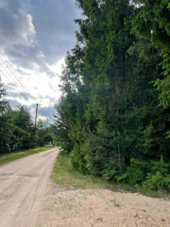 Tiek pārdoti 2 zemesgabali meža ielokā.  Nr 195, 678 m2 - 9500 EUR Nr 196, 721 m2 - 10100 EUR Olaine - foto 8