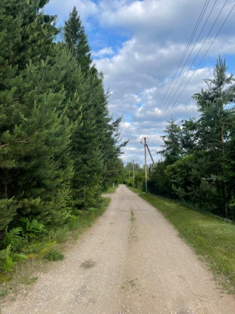 Tiek pārdoti 2 zemesgabali meža ielokā.  Nr 195, 678 m2 - 9500 EUR Nr 196, 721 m2 - 10100 EUR Olaine - foto 1