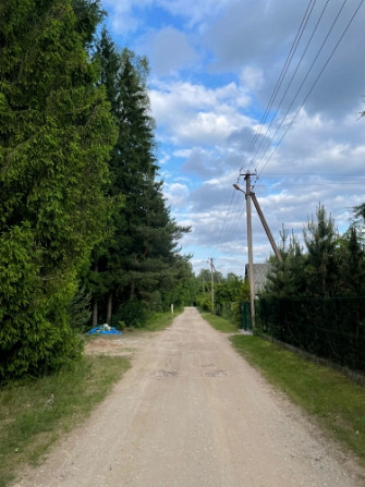 Tiek pārdoti 2 zemesgabali meža ielokā.  Nr 195, 678 m2 - 9500 EUR Nr 196, 721 m2 - 10100 EUR Olaine - foto 7
