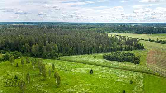 Pārdod ainavisku 7.2 ha zemesgabalu GNP neitrālajā zonā,  no kura daļa atrodas Raganas ciemā, daļa K Rīgas rajons