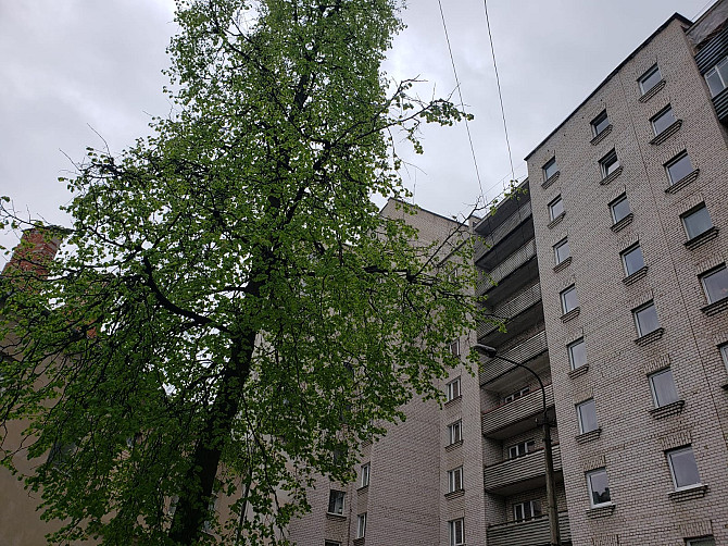 Сдается 1-Комнатная Квартира в Тихом Центре Даугавпилса Даугавпилс - изображение 11