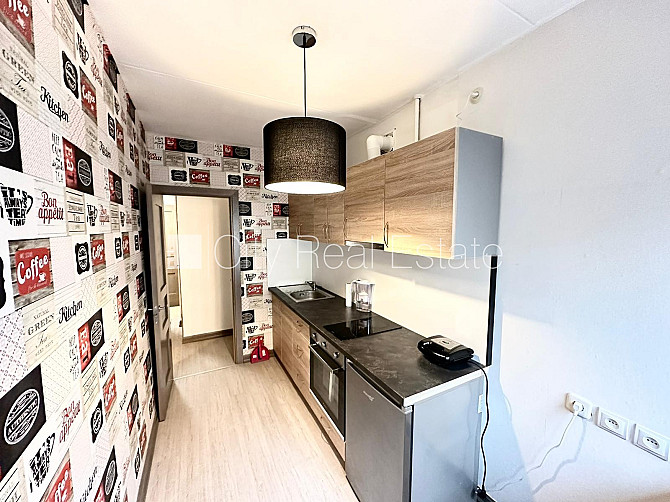 Pagalma ēka, labiekārtota apzaļumota teritorija, vieta automašīnai, ieeja no pagalma, kāpņu Rīga - foto 5