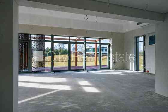 Частный дом, благоустроенная озеленённая территория, подъездная дорога покрыта Рига