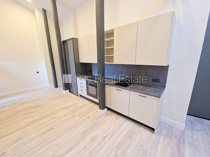 Projekts - Matīsa 38, fasādes māja, renovēta māja, labiekārtots apzaļumots pagalms, slēgta Rīga - foto 3