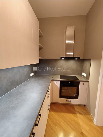 Zeme īpašumā, fasādes māja, renovēta māja, mainīts Jumta segums, ķieģeļu mūra sienas, Rīga - foto 4