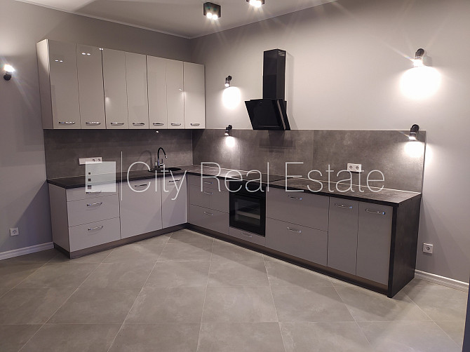 Частный дом, благоустроенный озеленённый двор, территория обнесена железным Рига - изображение 3