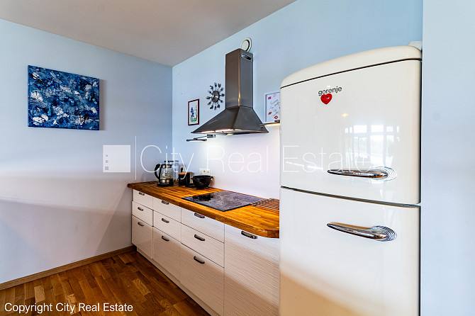 Частный дом, благоустроенная озеленённая территория, территория обнесена Рига - изображение 18