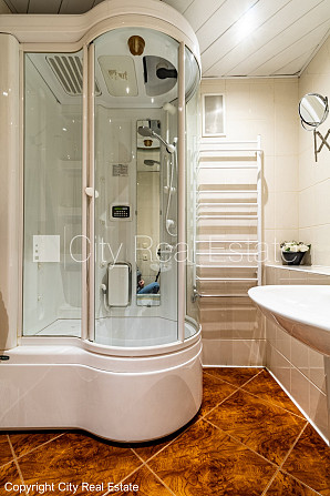 Земля в собственности, поменянное покрытие крыши, благоустроенный озеленённый Рига - изображение 20