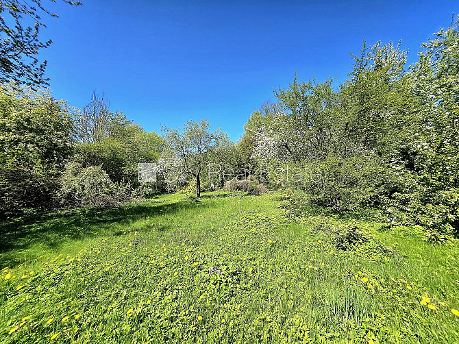 Благоустроенный озеленённый двор, территория обнесена забором, вход с улицы и со Рига - изображение 19