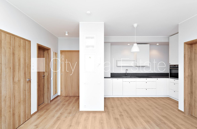 Jaunceltne, labiekārtota apzaļumota teritorija, labiekārtots apzaļumots pagalms, garāža Rīga - foto 2