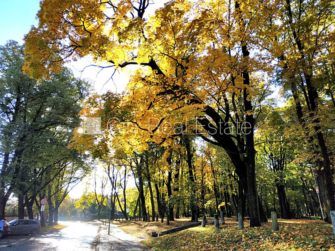 Jaunceltne, fasādes māja, labiekārtota apzaļumota teritorija, labiekārtots apzaļumots Rīga - foto 15
