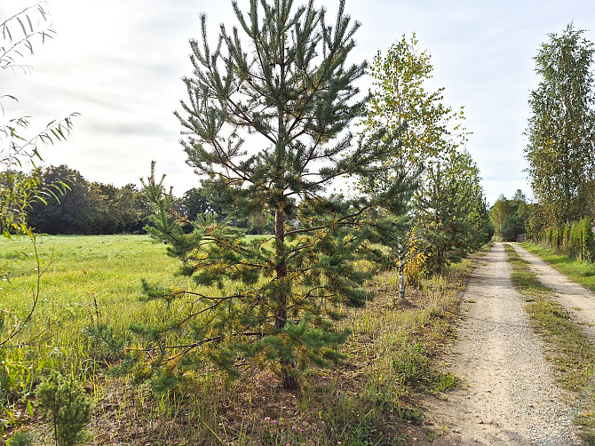 Pārdod apbūves zemes gabalu Valmierā  investīciju iespēja strauji augošā pilsētas rajonā! Piedāvājum Валмиера и Валмиерский край - изображение 5