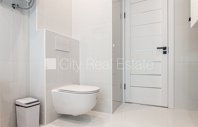 Zeme īpašumā, pagalma māja, labiekārtots apzaļumots pagalms, slēgts pagalms, teritorijas Rīga - foto 20