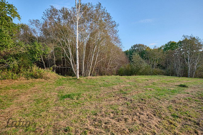 Pārdod perspektīvu zemes gabalu gleznainā vietā pie Svētupes! 
Piedāvājumā īpašs zemes Salaspils - foto 4