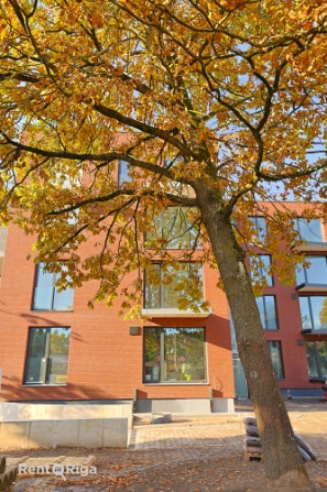 Jaunajā projektā Zelta Ozols ir pieejami 26 mūsdienīgi dzīvokļi, kuri ir piemēroti cilvēkiem, kas no Рига - изображение 9