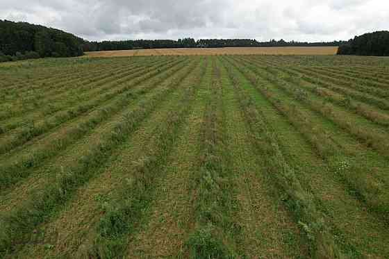 Labas konfigurācijas  zemes gabals Paipalas  7,9 ha platībā, ainaviskā, klusā vietā Krimuldas pagast Рижский район