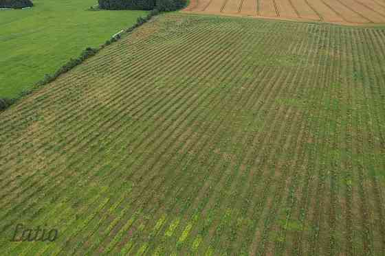 Labas konfigurācijas  zemes gabals Paipalas  7,9 ha platībā, ainaviskā, klusā vietā Krimuldas pagast Рижский район