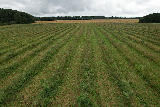 Labas konfigurācijas  zemes gabals Paipalas  7,9 ha platībā, ainaviskā, klusā vietā Krimuldas pagast Рижский район - изображение 2
