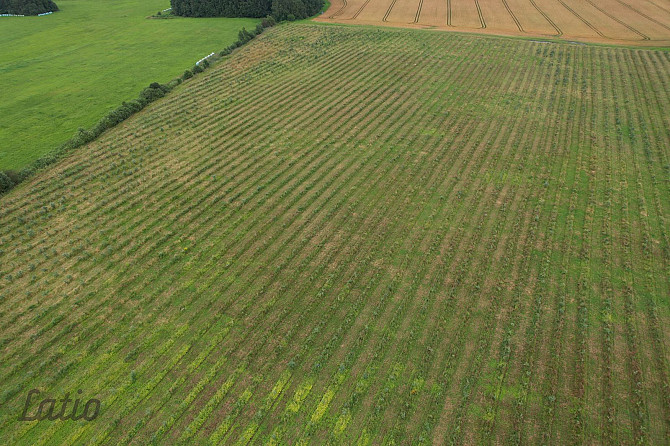 Labas konfigurācijas  zemes gabals Paipalas  7,9 ha platībā, ainaviskā, klusā vietā Krimuldas pagast Рижский район - изображение 5