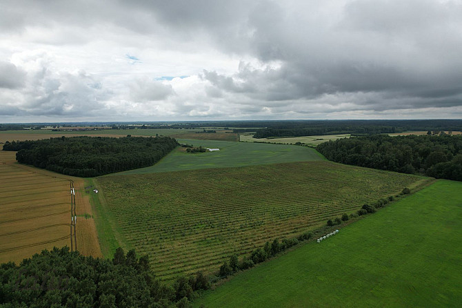 Labas konfigurācijas  zemes gabals Paipalas  7,9 ha platībā, ainaviskā, klusā vietā Krimuldas pagast Рижский район - изображение 1