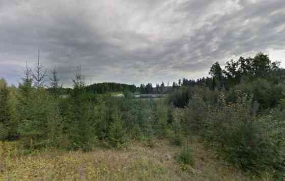 Уникальный, ухоженный земельный участок с песчаным пляжем на берегу озера  9,8 га Rīgas rajons