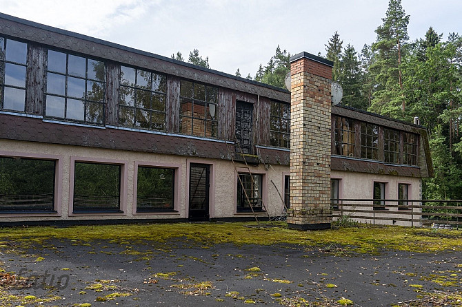 Pārdod īpašumu meža ielokā,  pašā Daugavas krastā ar savu upes līci laivas piestātnei. Krastā izbūvē Огре и Огрский край - изображение 4