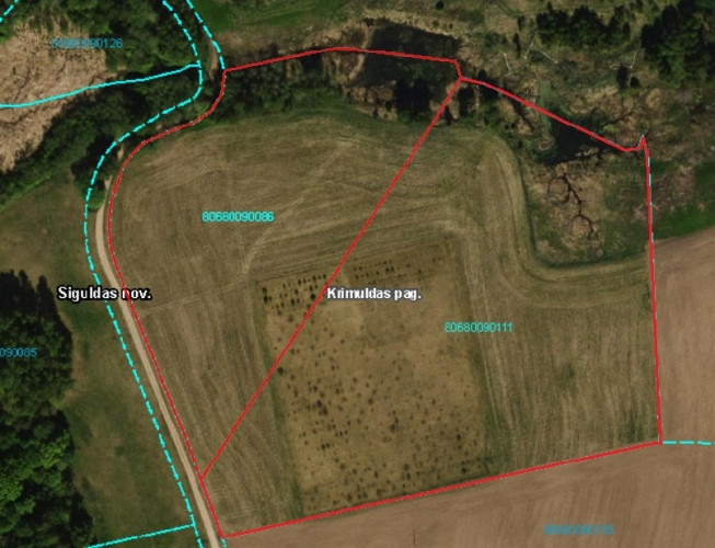 Продаются два смежных сельскохозяйственных земельных участка в Турайде  В Рижский район - изображение 1