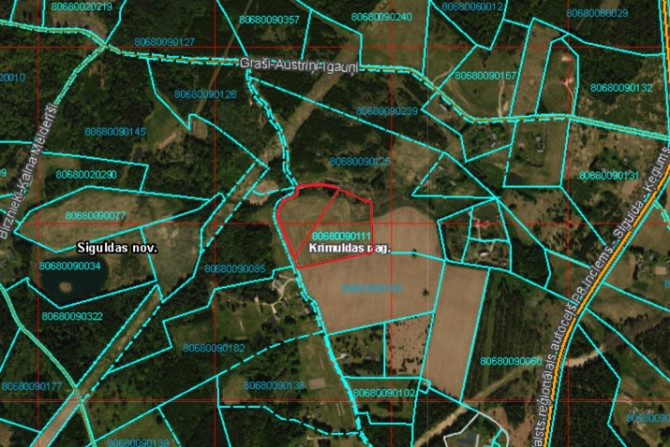 Продаются два смежных сельскохозяйственных земельных участка в Турайде  В Рижский район - изображение 2