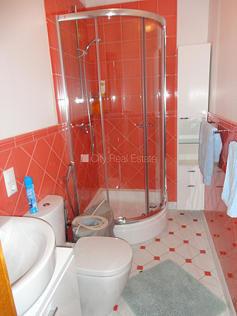 Частный дом, благоустроенный озеленённый двор, территория обнесена железным Рига - изображение 17