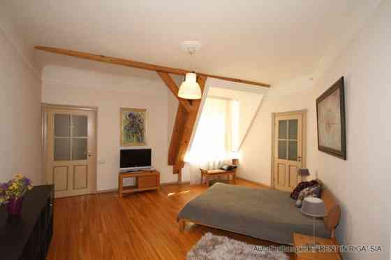 Beautiful one bedroom loft with terrace and winter garden, nice panorama view to Konventa Seta. Parq Rīga