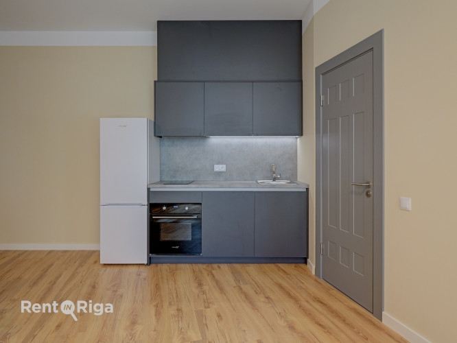 Mēbelēts 2-istabu dzīvoklis jūgendstila ēkā Rīgas centrā  Soļu attālumā no Klusā Rīga - foto 5