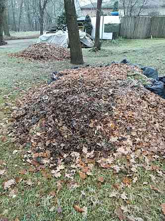 Погрузим и вывезем с вашей территории ветки, опавшие листья в мешках или без, траву. Покос травы... Rīga