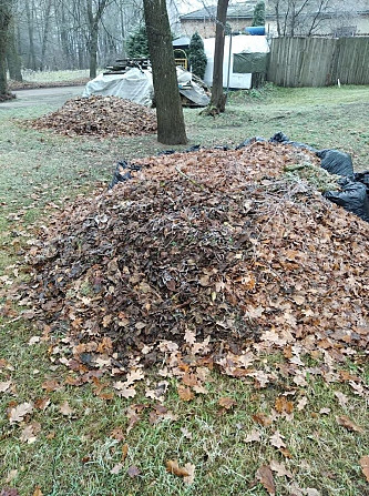 Погрузим и вывезем с вашей территории ветки, опавшие листья в мешках или без, траву. Покос травы... Rīga - foto 2