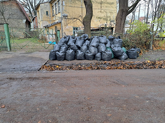 Погрузим и вывезем с вашей территории ветки, опавшие листья в мешках или без, траву. Покос травы... Rīga - foto 4