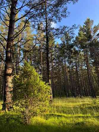 Tiek piedāvāta iespēja iegādāties zemes īpašumu ar apstiprinātu projektu nelielas ēkas būvniecībai.  Талси и Талсинский край