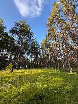 Tiek piedāvāta iespēja iegādāties zemes īpašumu ar apstiprinātu projektu nelielas ēkas būvniecībai.  Талси и Талсинский край