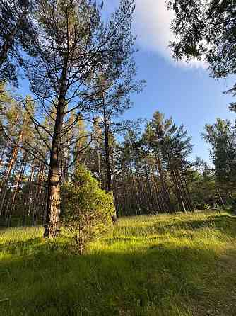 Tiek piedāvāta iespēja iegādāties zemes īpašumu ar apstiprinātu projektu nelielas ēkas būvniecībai.  Талси и Талсинский край