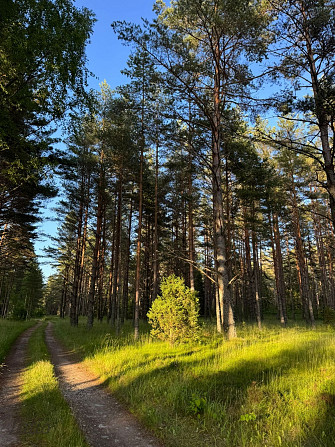 Tiek piedāvāta iespēja iegādāties zemes īpašumu ar apstiprinātu projektu nelielas ēkas būvniecībai.  Талси и Талсинский край - изображение 1
