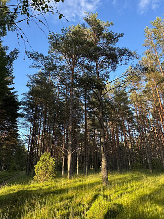 Tiek piedāvāta iespēja iegādāties zemes īpašumu ar apstiprinātu projektu nelielas ēkas būvniecībai.  Талси и Талсинский край - изображение 4