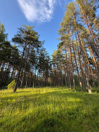 Tiek piedāvāta iespēja iegādāties zemes īpašumu ar apstiprinātu projektu nelielas ēkas būvniecībai.  Талси и Талсинский край - изображение 5
