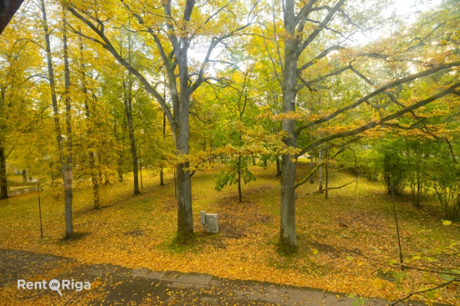 Офисное здание в удобном, зелёном и востребованном районе.  Недвижимость Рига - изображение 8