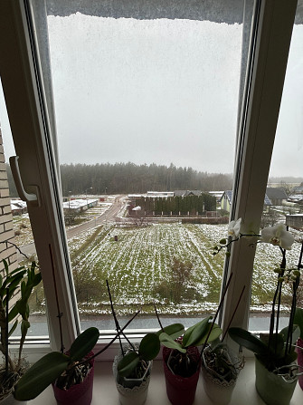 В связи с переездом продаю квартиру на 4 этаже, двойная входная дверь, комнаты не проходные,... Даугавпилс - изображение 9