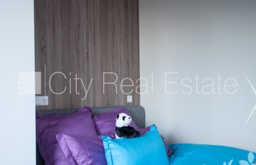 Реновированный дом, благоустроенная озеленённая территория, место для машины, Рига - изображение 7